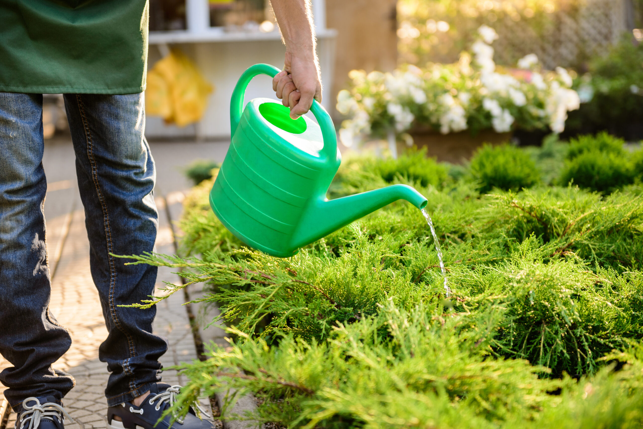 Gartenbau Neuenrade